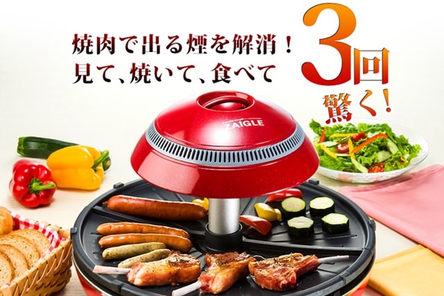 ザイグルプラス